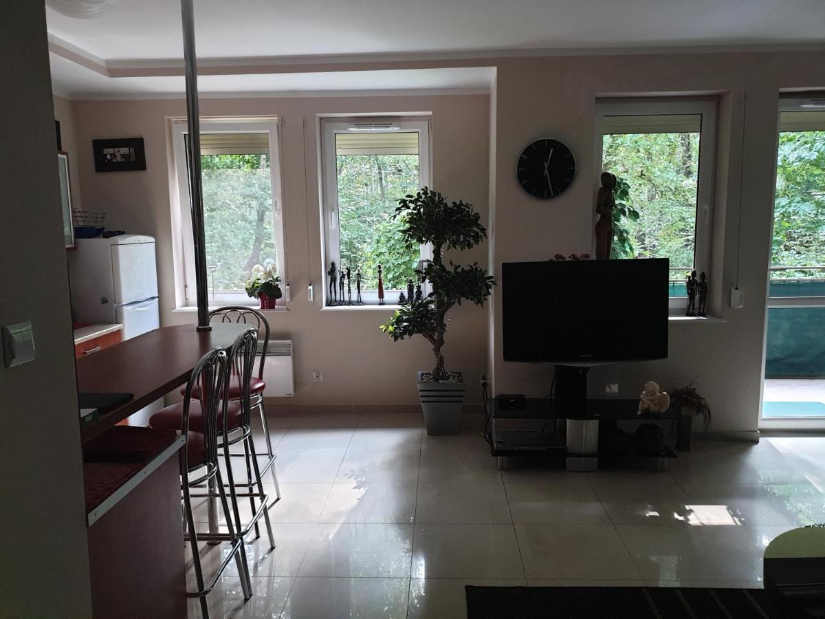 Apartament Maria 미엥지즈드로예 외부 사진