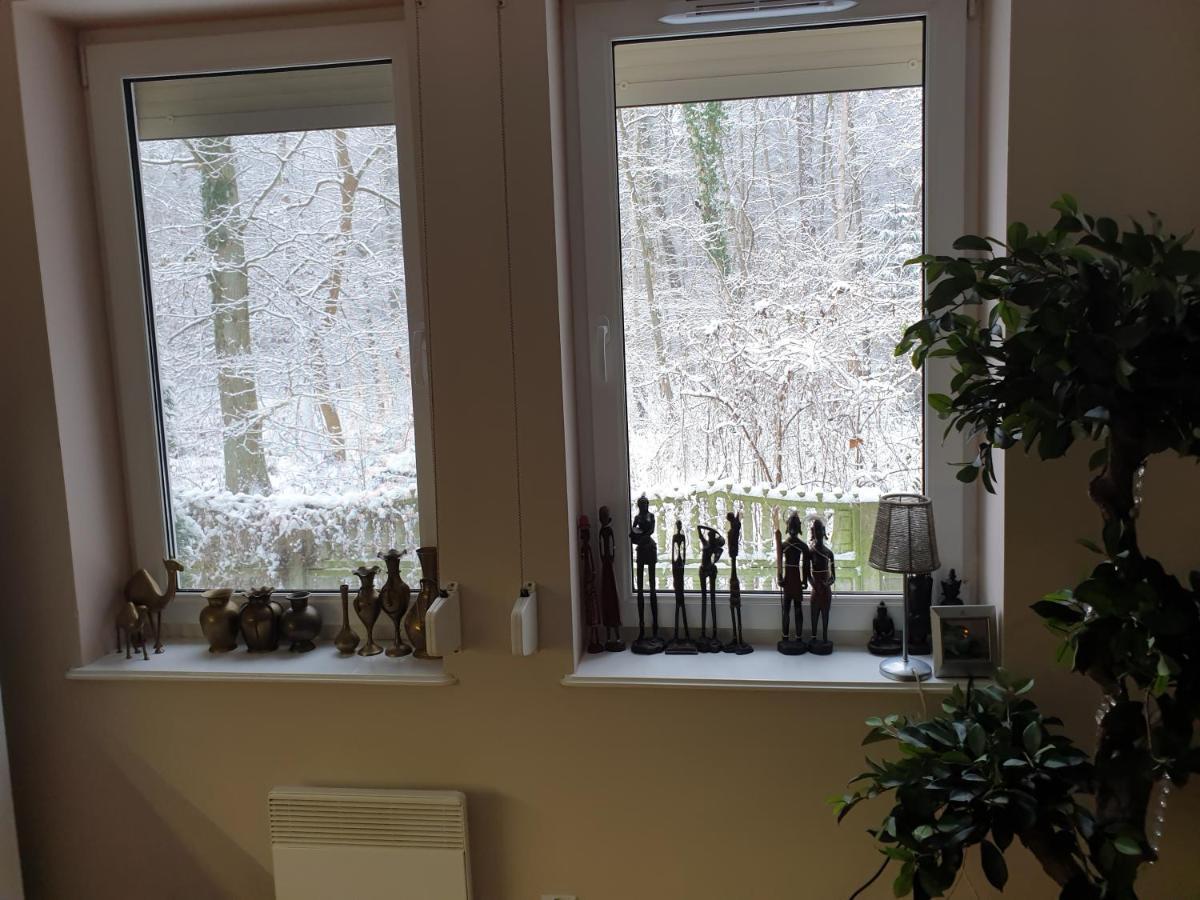 Apartament Maria 미엥지즈드로예 외부 사진