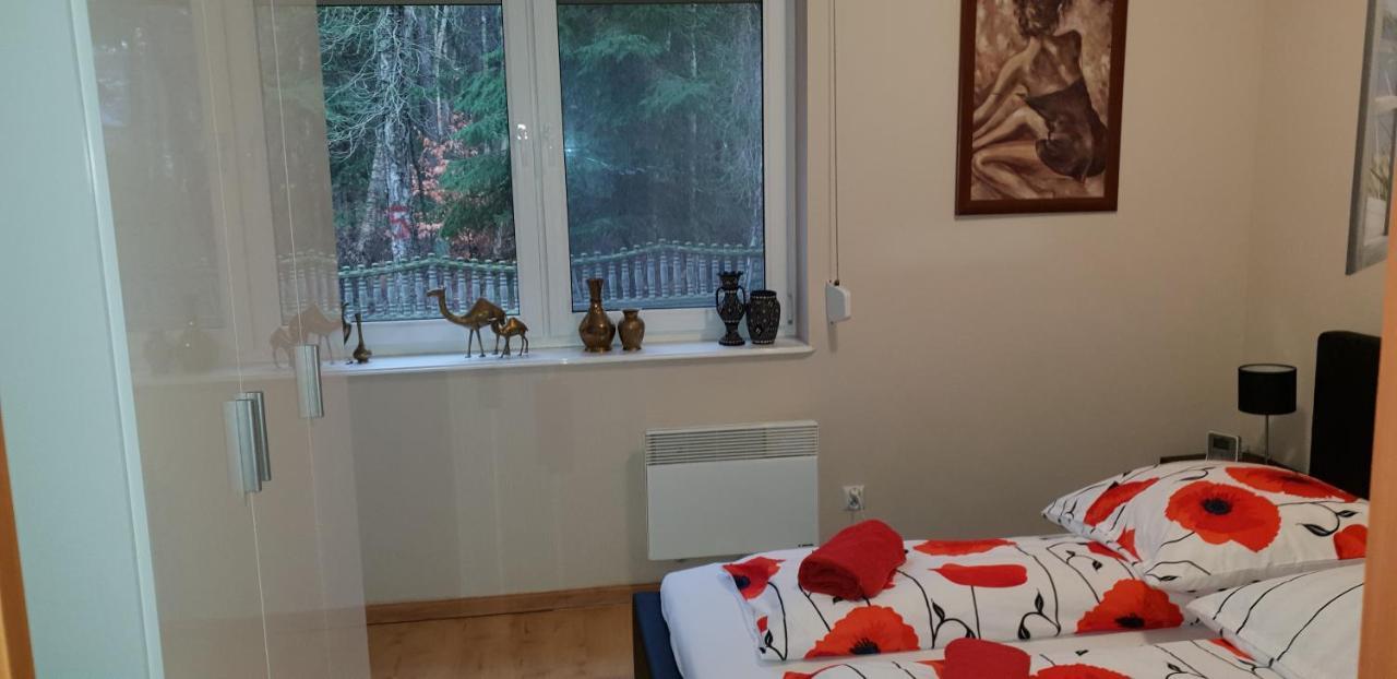 Apartament Maria 미엥지즈드로예 외부 사진